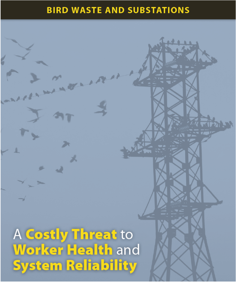 Bird Waste and Substations